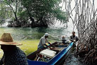 ¡Pescando en el lago!