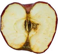 Apple: vergonzoso valor